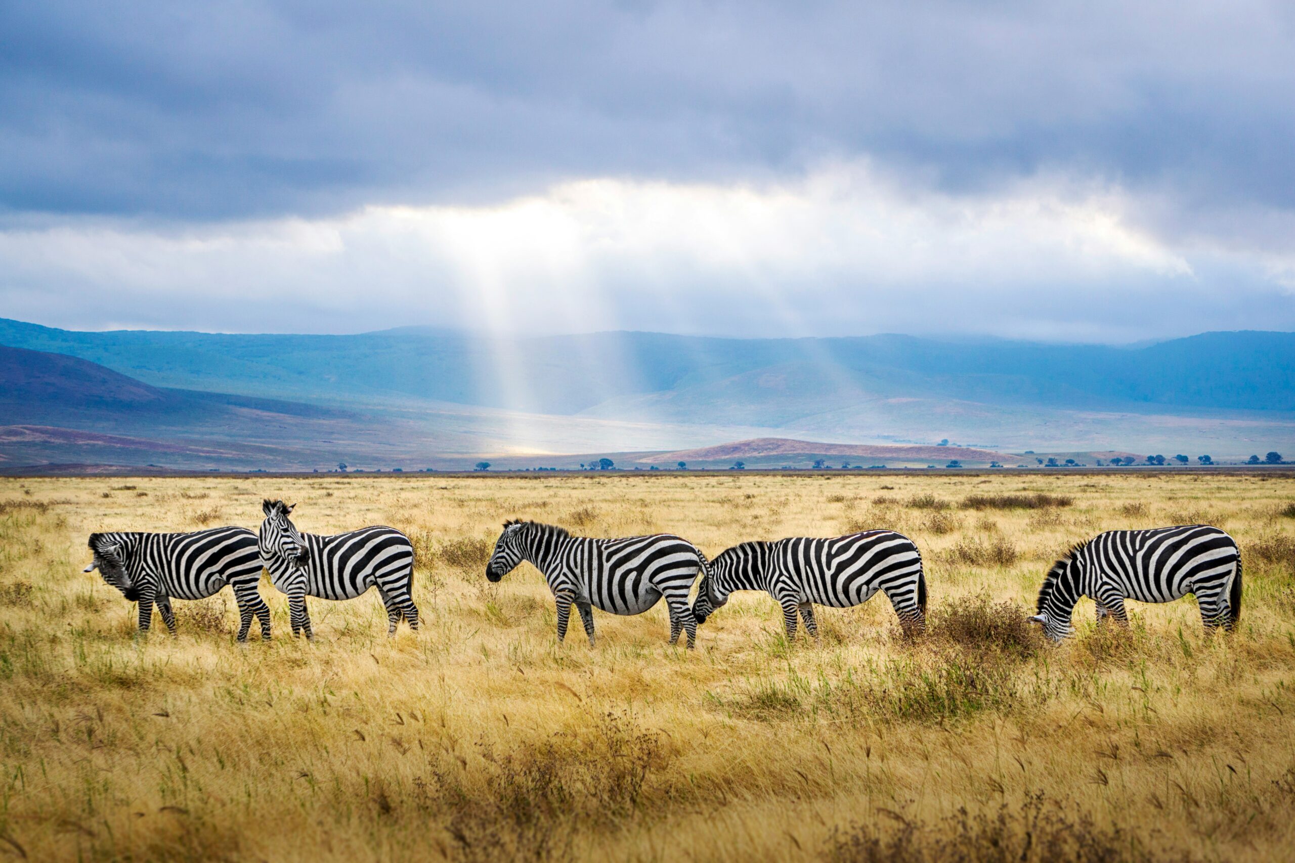 8-Day Lake Nakuru and Maasai Mara Safari